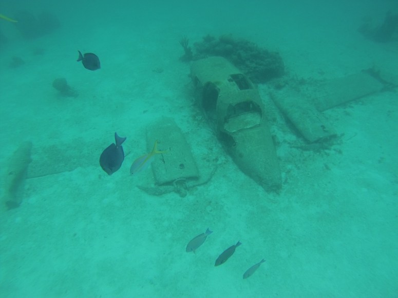 Sunken plane prop used for a James Bond movie.