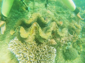 2f8240e7-1f34-4674-9997-69145ab6e1d4